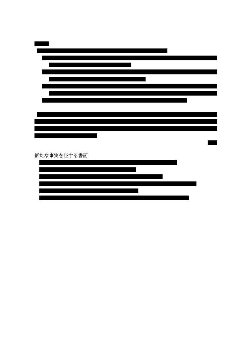 追加の意見陳述 (4)