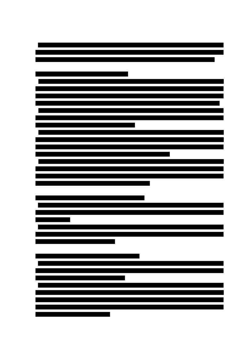 追加の意見陳述 (2)